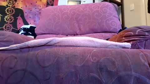 brumby94561 online show from September 29, 6:34 am