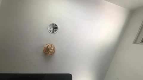 bryjybxxx online show from February 23, 6:42 pm