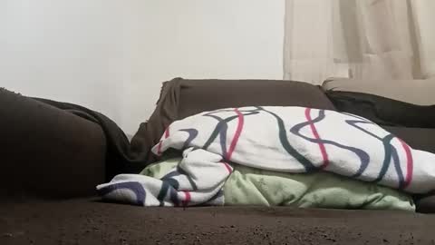 bullspain27266272 online show from February 10, 11:20 pm