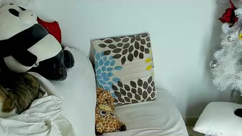 LeBron online show from January 4, 12:05 pm