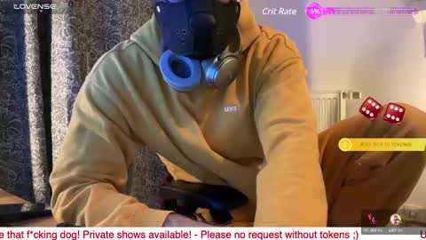 camdogfr online show from January 9, 11:45 pm