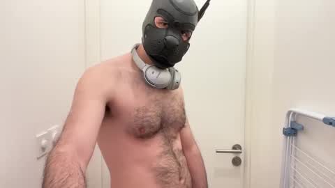 camdogfr online show from January 13, 3:15 pm