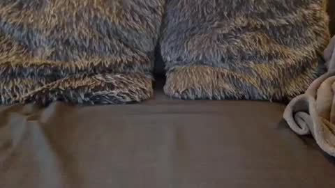 Captain 8 Inches online show from December 24, 10:01 am