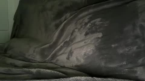 cbstiff online show from January 10, 12:38 am