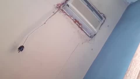 chavo82 online show from February 9, 8:24 pm