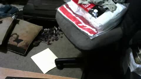 chefy online show from March 30, 12:17 pm