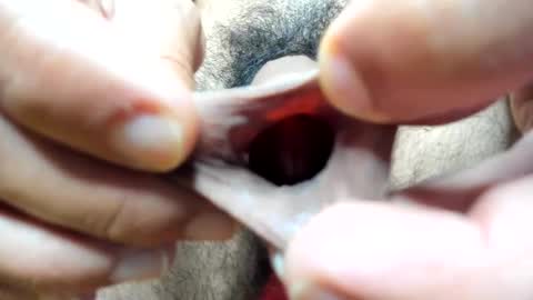 chriss_evanss_ online show from April 14, 3:33 pm