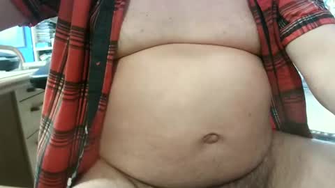 Circus Bear online show from February 3, 2:55 pm