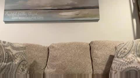 coachg12 online show from January 11, 10:46 pm