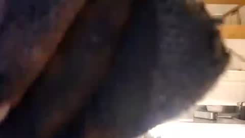 cockholder420 online show from November 18, 5:05 pm