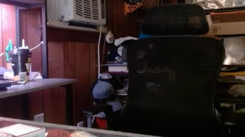 Nelson or ComicKing and sometime Peachy143 online show from January 12, 11:09 pm