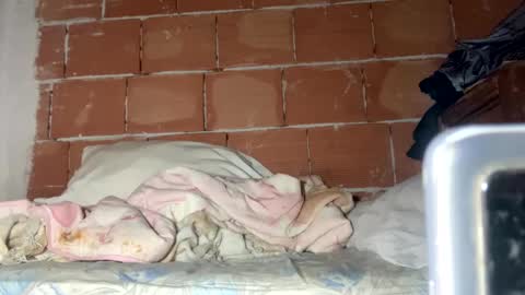 Snapshot of corradog83 chatting on January 18, 8:41 am Corrado online show from January 18, 8:41 am