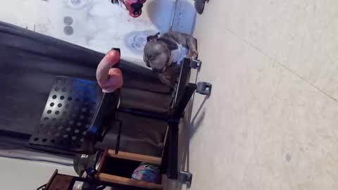 Snapshot of crazy4feetmanic chatting on October 29, 6:16 am drbucknaked online show from October 29, 6:16 am