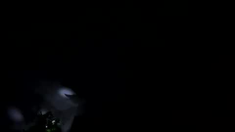 cronski_longcock online show from March 5, 10:55 am