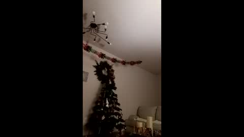 Bella online show from December 23, 3:48 am