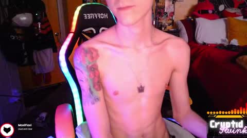 CryptidTwink online show from February 27, 7:42 am