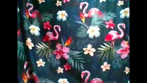 cumhill online show from November 26, 3:20 am