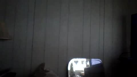 Snapshot of d1d_u_m1ss_1t chatting on September 21, 11:54 am d1d_u_m1ss_1t online show from September 21, 11:54 am