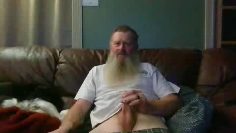 dachshund01 online show from October 24, 3:52 am