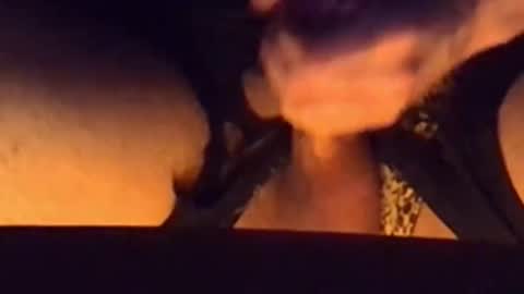 daddypervbuttprincess online show from December 22, 4:37 pm