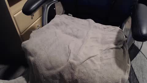 daily online show from February 13, 7:52 pm