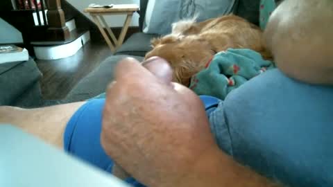 dal12340 online show from June 30, 5:03 pm