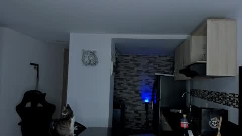 INSTAGRAM  DAMMIANMILLEROFICIAL online show from February 19, 2:30 am