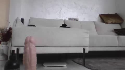 Dan online show from January 15, 9:13 am