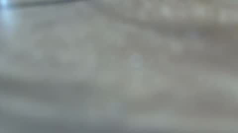 dancewhenyoucan9 online show from December 22, 10:51 pm