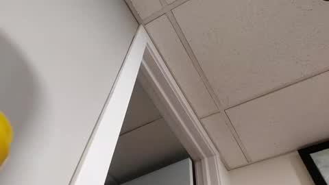 danimal5000 online show from March 5, 7:10 pm