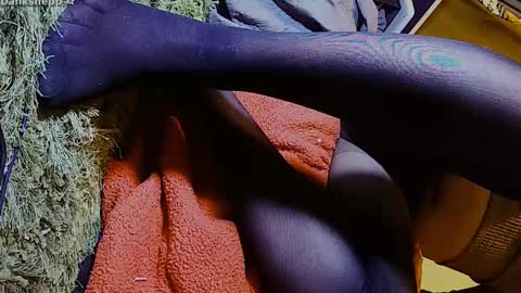 dandeb online show from January 17, 5:05 pm