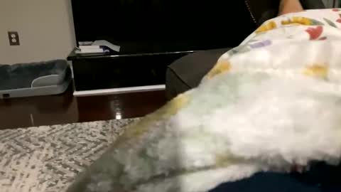 dannyboy621 online show from October 30, 9:33 am