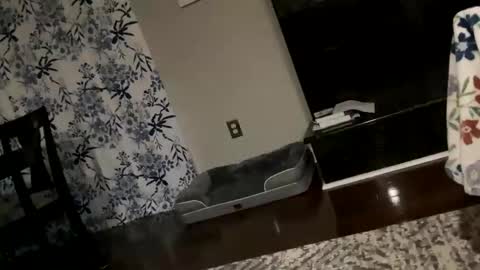 dannyboy621 online show from October 17, 11:14 am