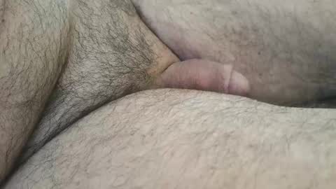 dapppper online show from February 9, 12:52 pm