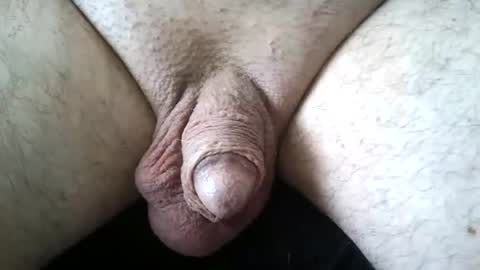 dapppper online show from June 13, 12:14 pm