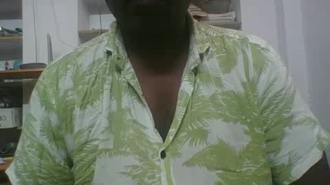 Black beauty   telgrm online show from February 17, 7:14 am