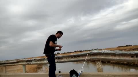 Snapshot of dbfroge chatting on October 13, 11:22 pm dbfroge online show from October 13, 11:22 pm