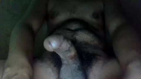 dcockzilla online show from October 13, 11:16 am