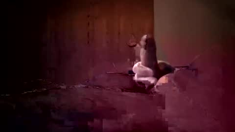 den2807 online show from April 3, 1:13 am