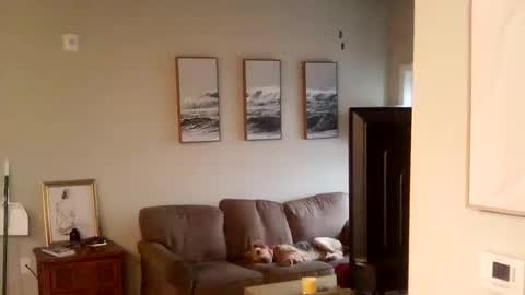 Tall and Handsome online show from October 10, 4:56 pm