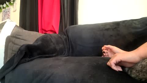 dickies6969 online show from September 20, 5:46 pm