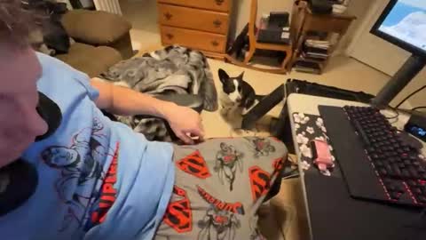 Hansel and Gretle online show from February 13, 3:35 am