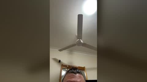 dmorgan217 online show from February 20, 2:41 pm