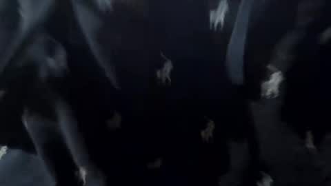 El Senor de Cielos online show from February 22, 10:16 am