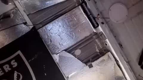 dsmock online show from February 15, 10:57 am