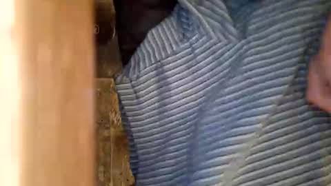 dVe1oPe online show from March 9, 8:52 am