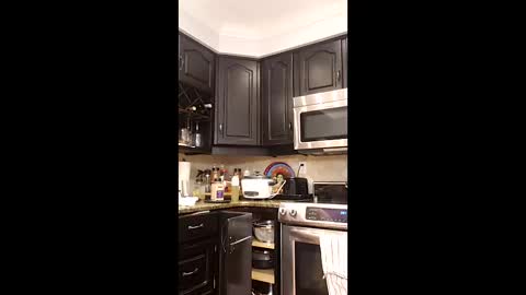 eat_a_lot_of online show from December 15, 10:51 pm