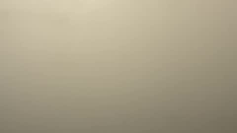 Eddy online show from February 5, 3:24 am