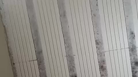 Snapshot of el131140 chatting on October 13, 3:45 am Sebastin online show from October 13, 3:45 am