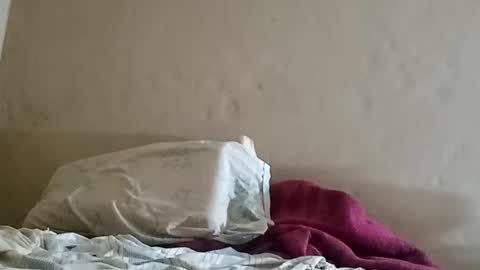 Snapshot of el131140 chatting on February 8, 3:41 am Sebastin online show from February 8, 3:41 am